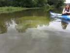 IMG 4479